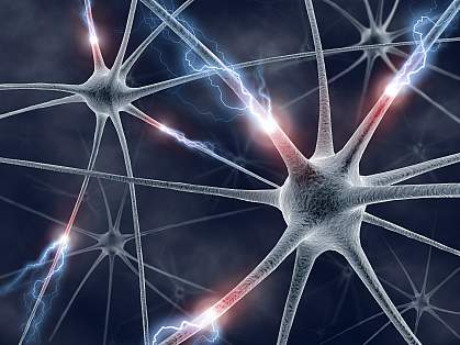 neurons neurons