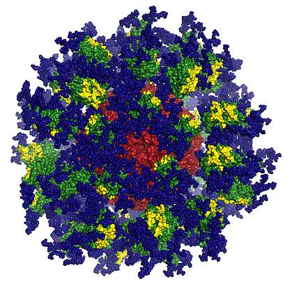 Protein nanoparticle designed to fight HIV Protein nanoparticle designed to fight HIV.