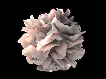 Human dendritic cell An artist's representation of the surface of a human dendritic cell.