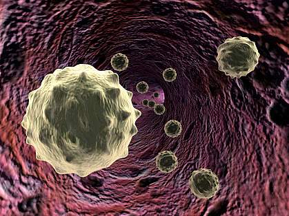 White Blood Cells Illustration of white blood cells
