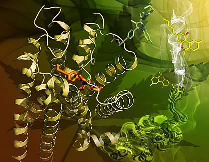 CB1 structure CB1 structure