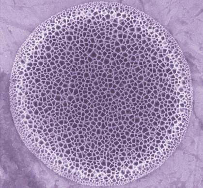 Silicon microparticle Silicon microparticle