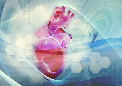 Stylized image of a heart. Stylized image of a heart.