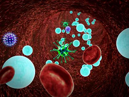 Illustration of bloodstream with microbes and immune cells Illustration of bloodstream with microbes and immune cells