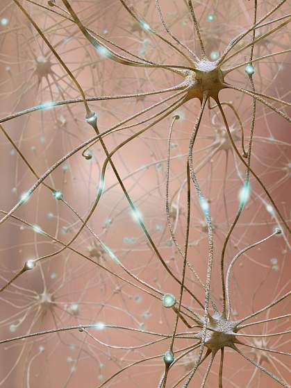 Neurons firing Neurons firing