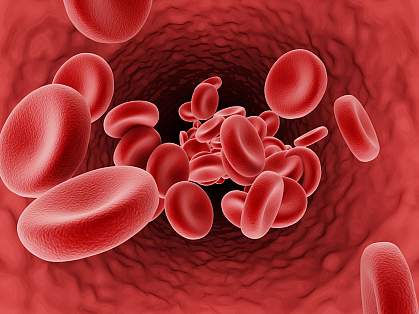 Illustration of red blood cells in a blood vessel. Illustration of red blood cells in a blood vessel