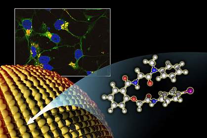 Small molecule, NCGC607 Small molecule, NCGC607