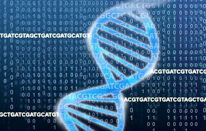 DNA double helix rests on a field of ACGTs and binary numbers. DNA double helix rests on a field of ACGTs and binary numbers.