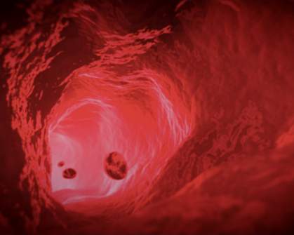 Illustration of the inside of a blood vessel. Illustration of the inside of a blood vessel.