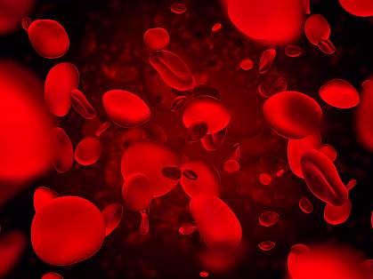 Red blood cells Red blood cells