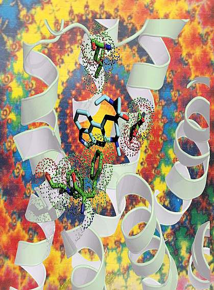 Structure of LSD and Receptor Structure of LSD and Receptor