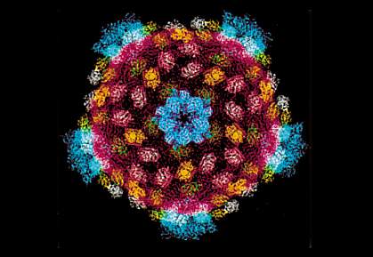 Reovirus core structure The reovirus core structure