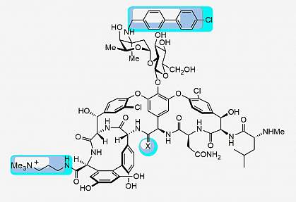 Compound 18 chemical structure. Compound 18 chemical structure.