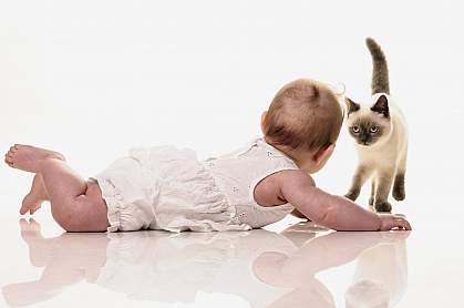 Baby on floor with kitten Baby on floor with kitten