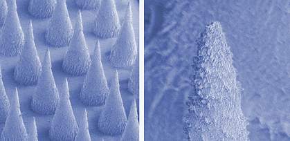 Microneedle array and microneedle tip Microneedle array and microneedle tip