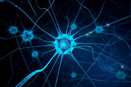 Illustration of neurons Illustration of neurons