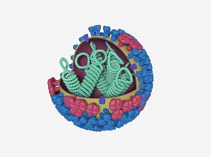 3-D model of influenza virus 3-D model of influenza virus