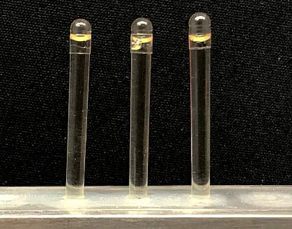 Enlarged photo of elongated capsules Enlarged photo of elongated capsules