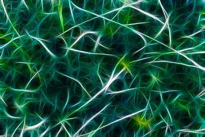 Illustration of neurons Illustration of neurons