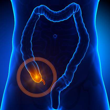 Illustration of the appendix Illustration of the appendix