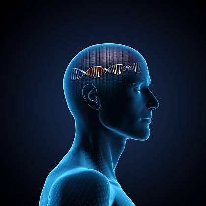 Brain and DNA Illustration of brain and DNA