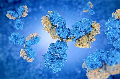 Antibodies Antibodies.