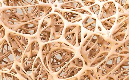 Abstract illustration of bone structure Abstract illustration of bone structure