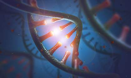 DNA and RNA Illustration of DNA and RNA
