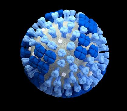 Influenza virus Influenza virus