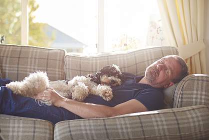 Man napping during daytime on the couch with a dog on stomach Man napping during daytime on the couch with a dog on stomach