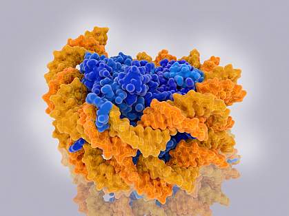 Chromatin Illustration of chromatin