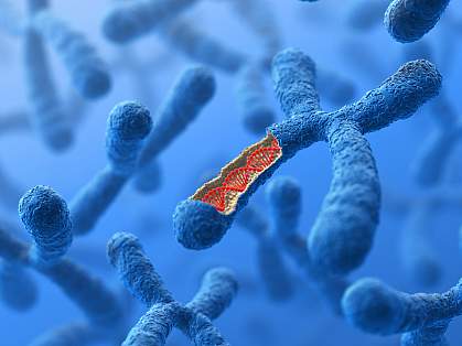 Illustration of chromosome and DNA Illustration of chromosome and DNA