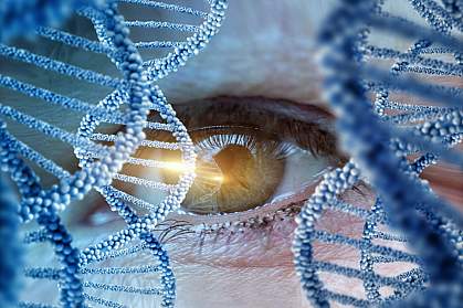 Illustration of eye and DNA Illustration of eye and DNA