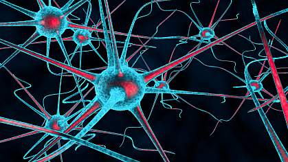 3D illustration of sensitized nerves 3D illustration of sensitized nerves