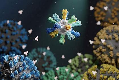 Mosaic nanoparticle vaccine Nanoparticle with different colored proteins on surface