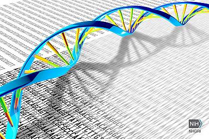 Illustration of DNA double helix on a print-out with the DNA letters A, T, C and G