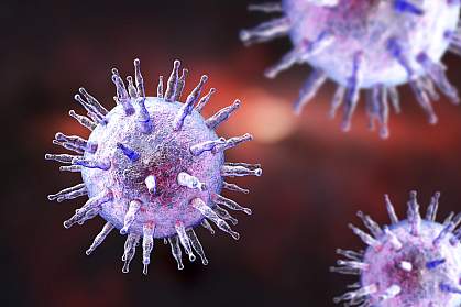 Illustration of Epstein-Barr virus Illustration of Epstein-Barr virus