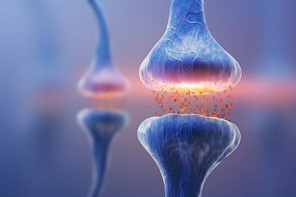 Illustration of synapses Illustration of synapses