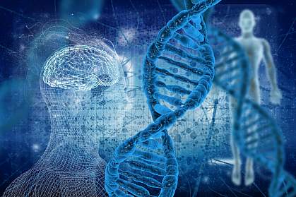 Illustration of DNA and human forms Illustration of DNA and human forms
