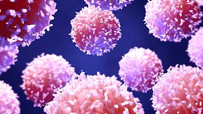 Illustration of T cells Illustration of T cells