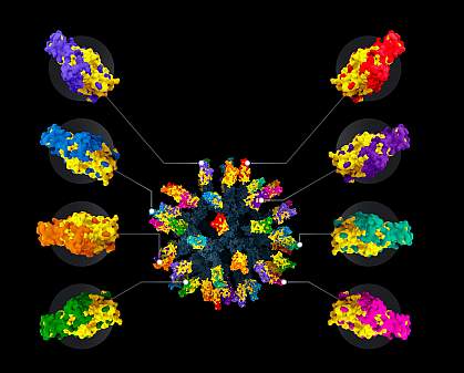 Illustration of nanoparticle vaccine with numerous different colored regions Illustration of nanoparticle vaccine with numerous different colored regions