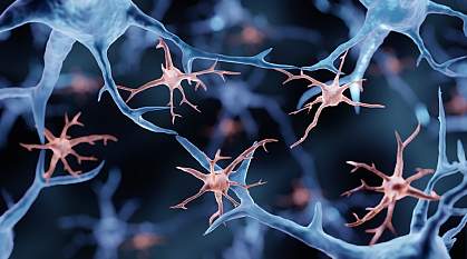 Illustration of microglia among long neuron projections Illustration of microglia among long neuron projections