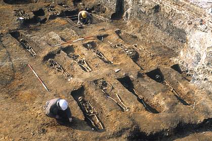 Rows of graves with buried skeletons uncovered Rows of graves with buried skeletons uncovered