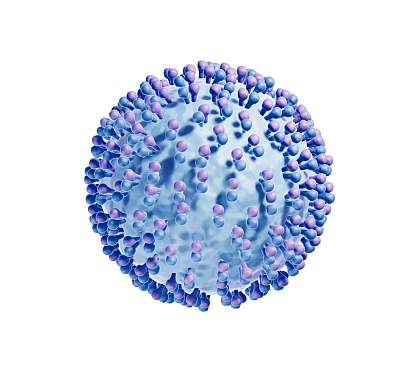 3D illustration of Hepatitis C virus 3D illustration of Hepatitis C virus