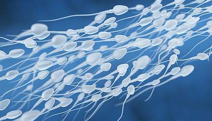 3D illustration of sperm swimming toward an egg 3D illustration of sperm swimming toward an egg