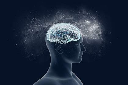 Artistic illustration of human brain implying vast complexity and capabilities. Artistic illustration of human brain implying vast complexity and capabilities.