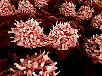 3D rendering of several stem cells dividing in the bone marrow. 3D rendering of several stem cells dividing in the bone marrow.