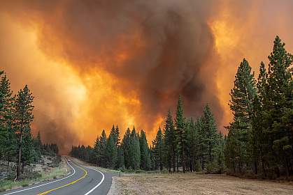 A lone car far in the distance travels on a highway away from a large, blazing forest fire. A lone car far in the distance travels on a highway away from a large, blazing forest fire.