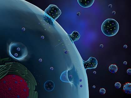 Illustration of a cell secreting extracellular vesicles. Illustration of a cell secreting extracellular vesicles.