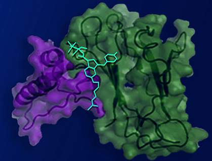 Illustration of small compound bound within cannabinoid receptor type 1. Illustration of small compound bound within cannabinoid receptor type 1.